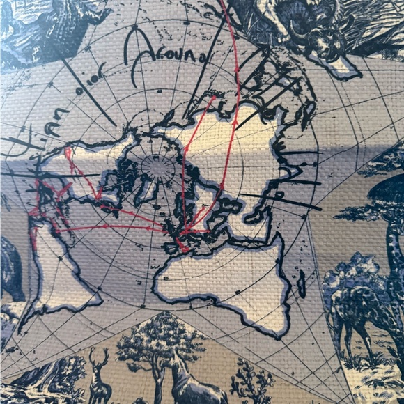 Dior Around the World Limited Edition Straw Tote - Picture 14 of 16